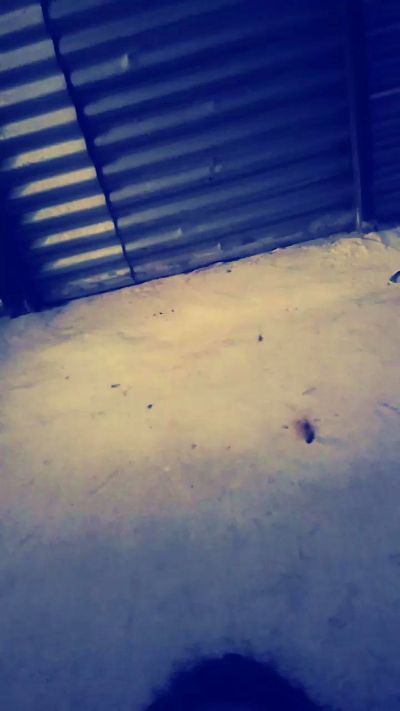 Colo323 live from Argentina