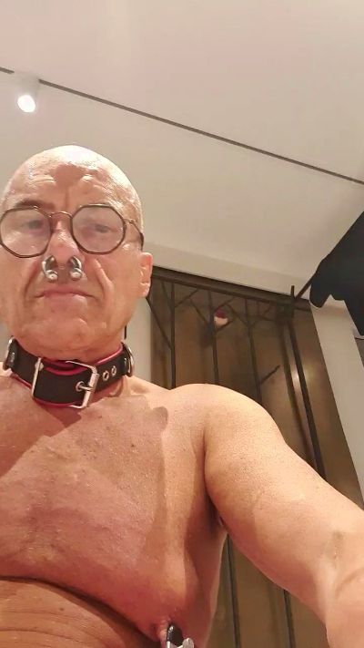 pigjebX live from France