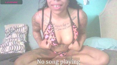 stella_clitella live from United States